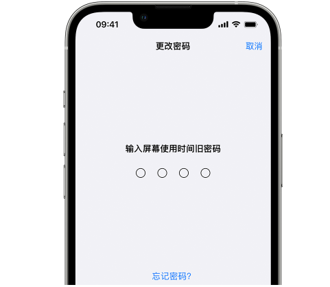 金州iPhone屏幕维修分享iPhone屏幕使用时间密码忘记了怎么办 