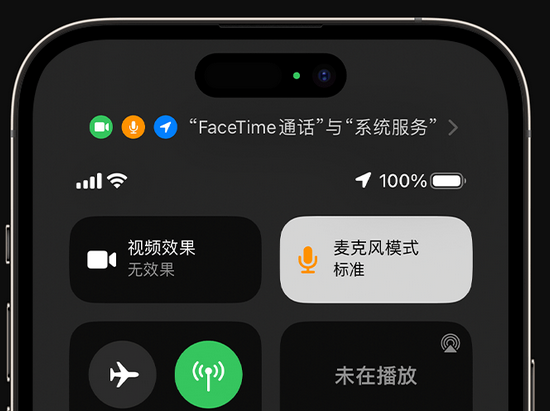 金州苹果授权维修网点分享iPhone在通话时让你的声音更清晰 