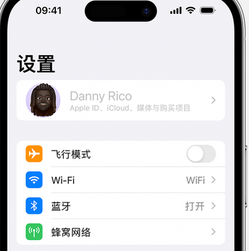 金州appleID维修服务iPhone设置中Apple ID显示为灰色无法使用 