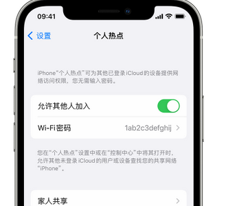 金州apple服务站点分享iPhone上个人热点丢失了怎么办 