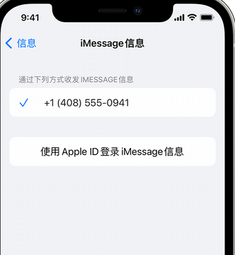 金州apple维修iPhone上无法正常发送iMessage信息 