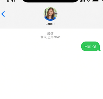 金州apple维修iPhone上无法正常发送iMessage信息