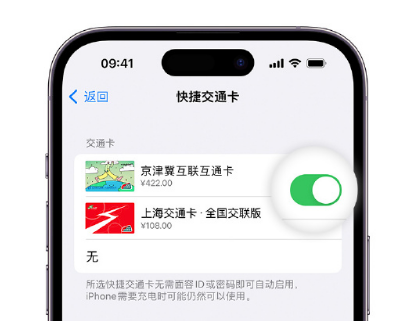 金州apple维修点分享iPhone上更换Apple Pay快捷交通卡手绘卡面 