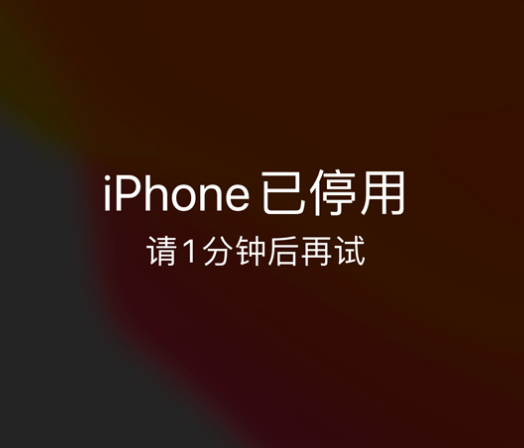 金州苹果手机维修分享:iPhone 显示“不可用”或“已停用”怎么办？还能保留数据吗？ 