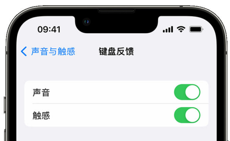 金州苹果手机维修分享iPhone 14触感键盘使用方法 