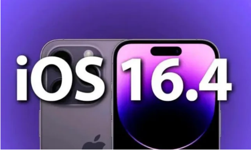 金州苹果14维修分享：iPhone14可以升级iOS16.4beta2吗？ 