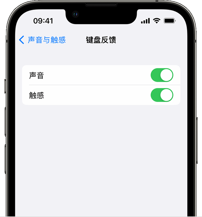 金州苹果14维修店分享如何在 iPhone 14 机型中使用触感键盘 