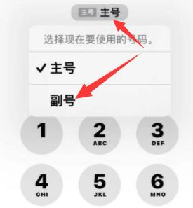 金州苹果14维修店分享iPhone 14 Pro Max使用副卡打电话的方法 