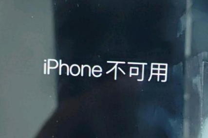 金州苹果服务网点分享锁屏界面显示“iPhone 不可用”如何解决 