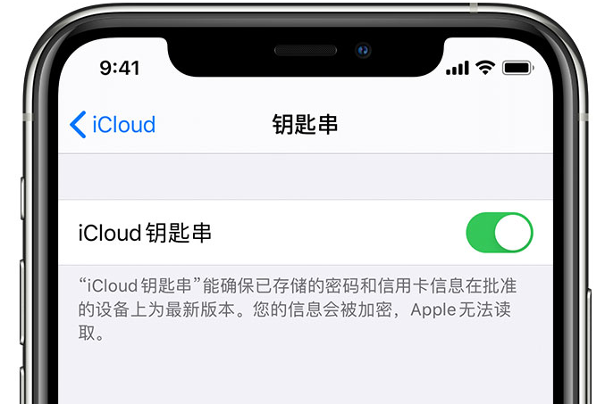 金州苹果手机维修分享在 iPhone 上开启 iCloud 钥匙串之后会储存哪些信息 