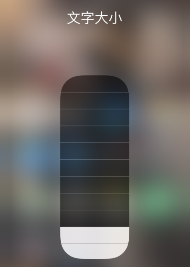 金州苹果手机维修分享小技巧：在 iPhone 控制中心快速调节字体大小 
