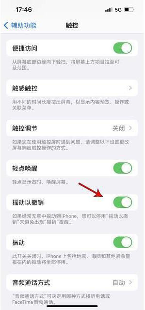 金州苹果手机维修分享iPhone手机如何设置摇一摇删除文字 