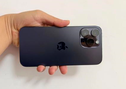 金州苹果维修点分享iPhone 14 Pro Max黑屏少见故障盘点 